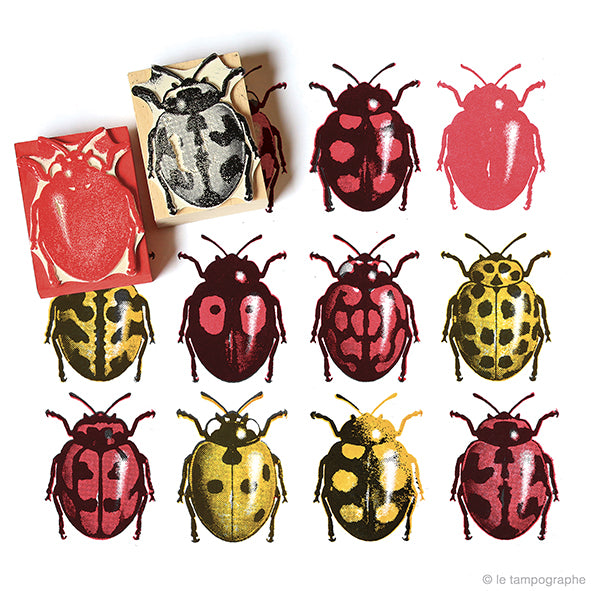 Coccinellidae