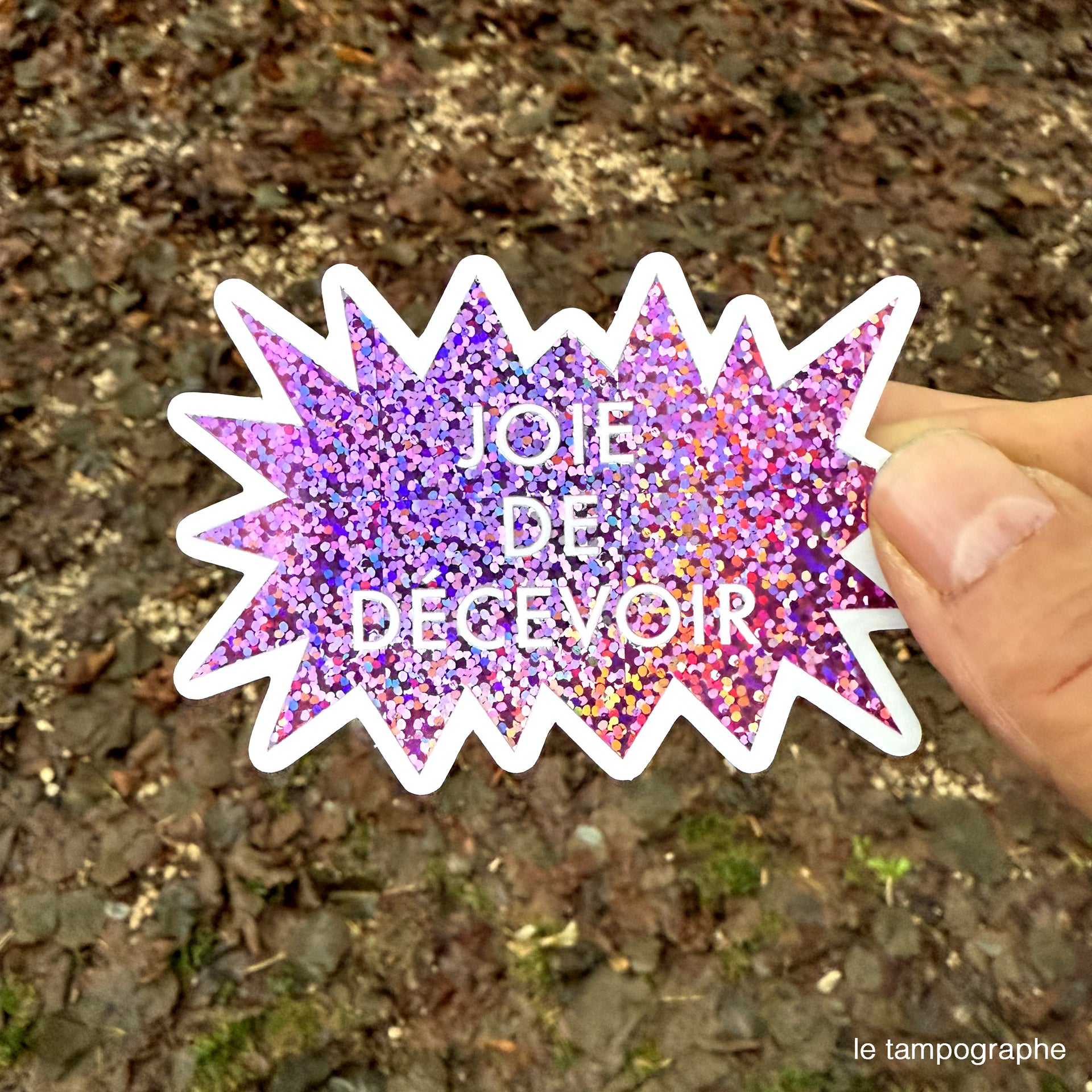 Joie de Décevoir