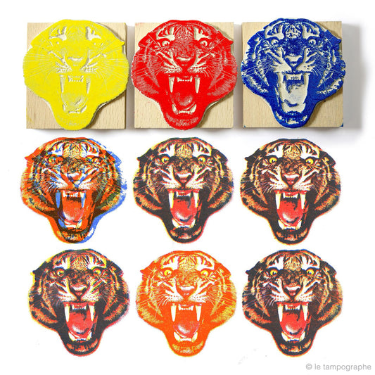Tigre en trois couleurs